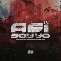 Así Soy Yo (feat. SerenoMoreno, Giovanni Shelby & Papi Joseo) - Single - NvshoFlight