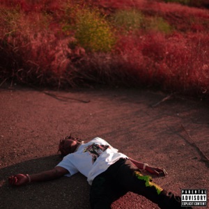 Came From Nothing (feat. Sheck Wes)