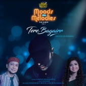 Tere Bagairr artwork