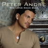 Mysterious Girl (Radio Edit) - Peter Andre