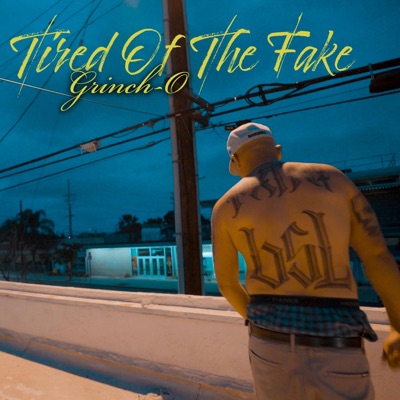 Tired of the Fake - Single