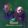 Ginal (feat. Collie Buddz) - Single