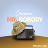 Mr Nobody - Single