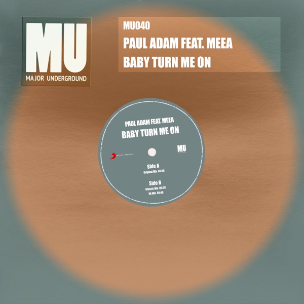 Baby Turn Me On (feat. MEEA) - Single