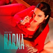 Karma artwork