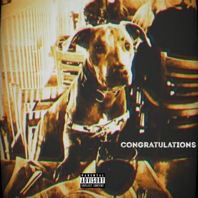 Congratulations (feat. Arde Ostowari) - Single