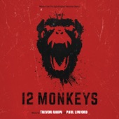 12 Monkeys (Music From the Syfy Original Series) artwork