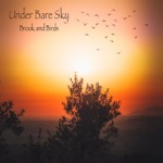 Under Bare Sky - Birds High up In the Trees