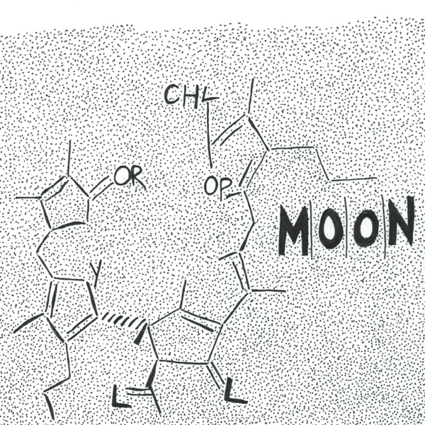 Chlorophyll - Single - MOON