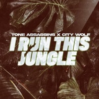 I Run This Jungle - Single - Tone Assassins & City Wolf