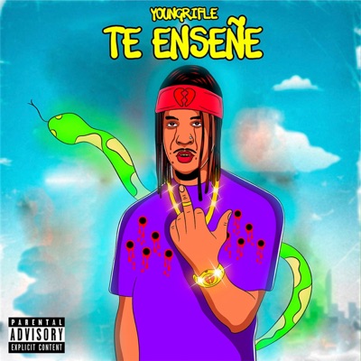 Te enseñé - Single