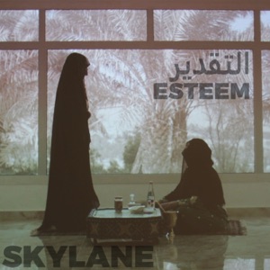 Esteem