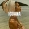 Iguana (Reggaeton Instrumental) - Ultra Beats lyrics