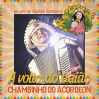 A Volta do Baião (Ao Vivo no Festival Rootstock) - Single - Chambinho do Acordeon