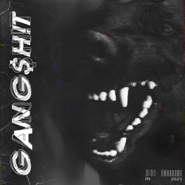 Gangshit (feat. Xir, No.1 & Maestro) Fatal R