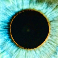 Shai-Hulud - Single - Georgia Bliss