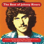 The Best of Johnny Rivers artwork