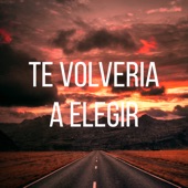 Te Volveria a Elegir artwork