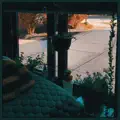 Pigswick Papers