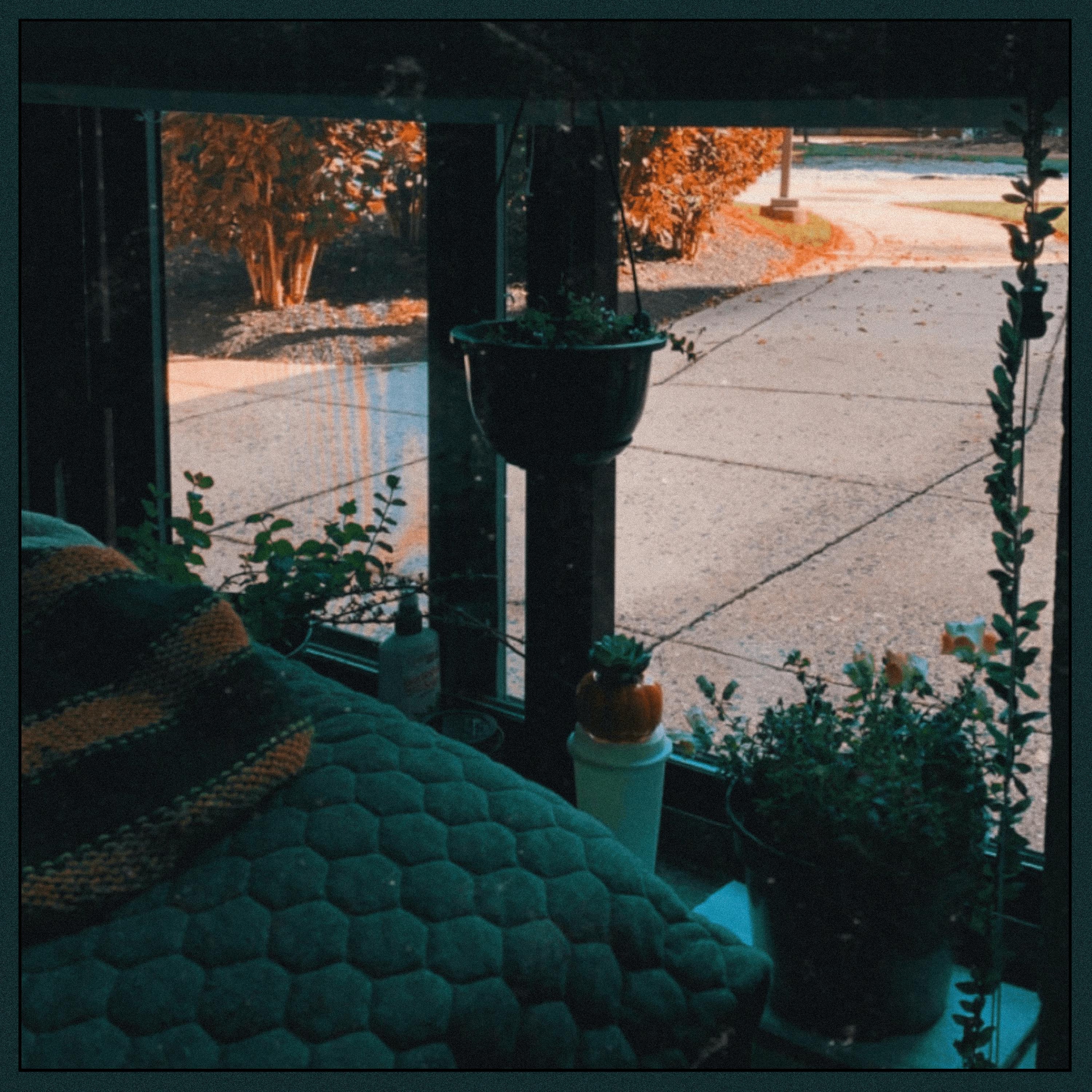 Pigswick Papers - Single