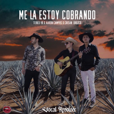 Me la Estoy Cobrando - Single