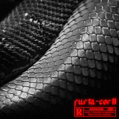Furta-Cor 2 - Single