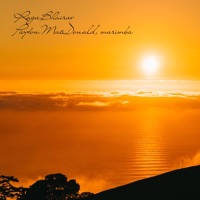 Raga Bhairav on marimba - EP - Payton MacDonald