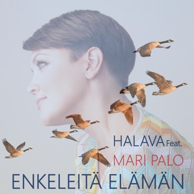 Enkeleitä elämän (feat. Mari Palo) - Single
