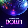 Down (feat. ZooFunktion) - Single