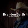 Friends In Low Places - Brandon Garth