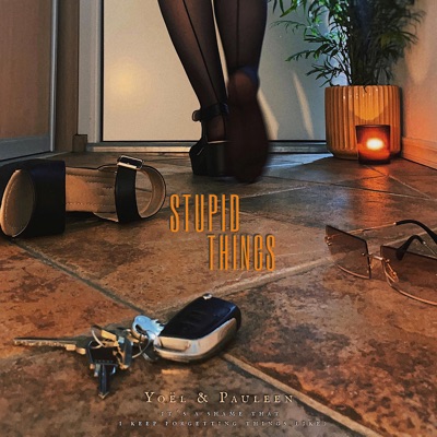 Stupid Things - Single