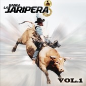 Banda La Jaripera Vol 1 - Juan Colorado