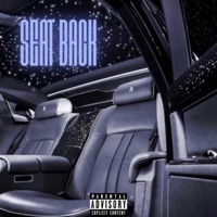 Seat Back - Single - Ace Benjii