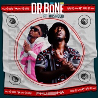 Phusha (feat. Musiholiq) - Single - Dr. Bone