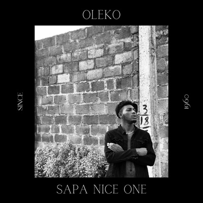 Sapa Nice One - Single