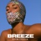 Breeze - Naomi Sharon lyrics
