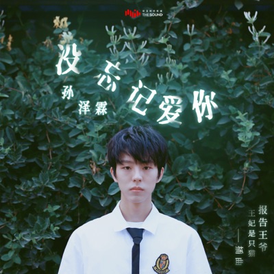 I Didn't Forget to Love You (Interlude Song from Online TV Series "Report to the Lord, The Princess Is a Cat") - Single