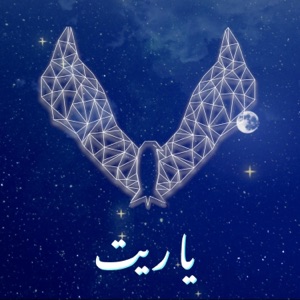 يا ريت