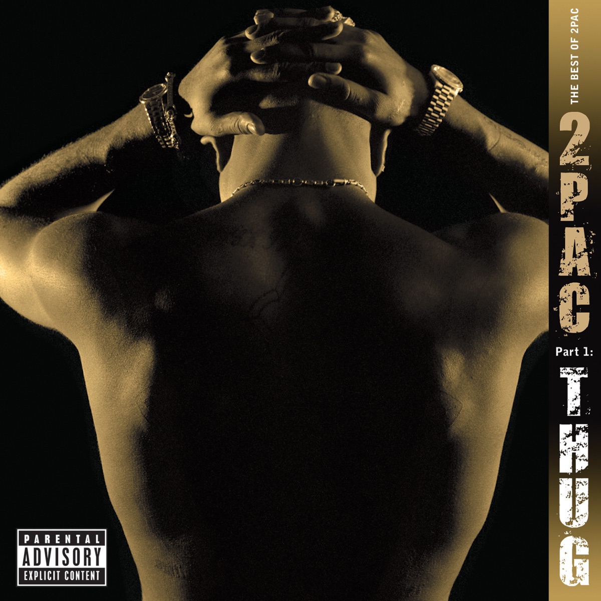 The Best of 2Pac, Pt. 1: Thug - Album by 2Pac - Apple Music