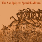 Second Spanish Album artwork