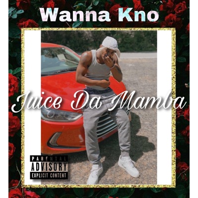 Wanna Kno - Single