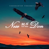 Nese Don (feat. Meda) artwork