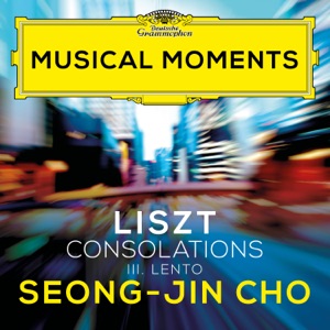 Consolations, S. 172: No. 3, Lento placido in D-Flat Major