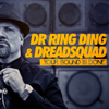 Your Sound Is Done - Dr. Ring Ding & Dreadsquad