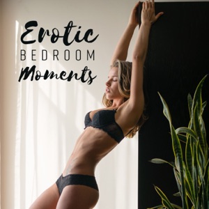 Erotic Bedroom Moments