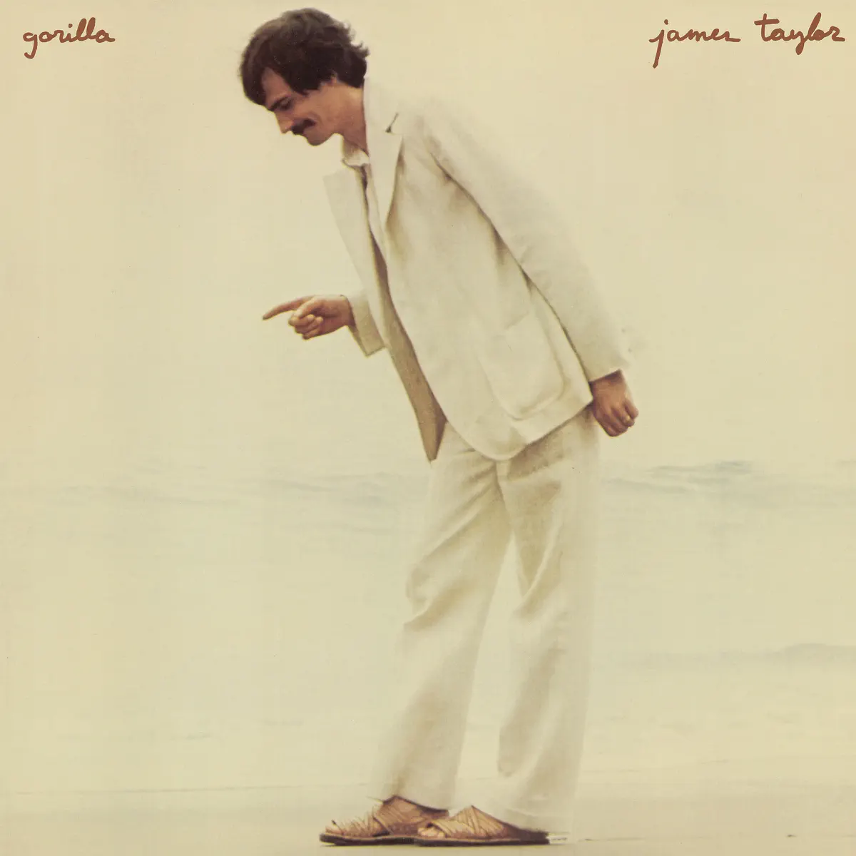 James Taylor - Gorilla (Remastered) (1975) [iTunes Plus AAC M4A]-新房子