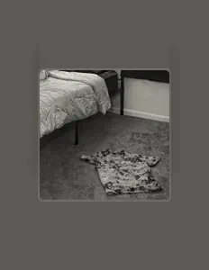 Dengarkan Ebony, tonton video musik, baca bio, lihat tanggal tur & lainnya!