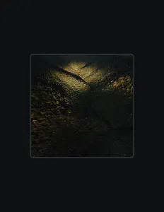 收听 DJ15、观看音乐视频、阅读小传、查看巡演日期等 ！