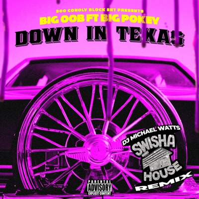 Down N Texas (feat. Big Pokey & Michael Watts) - Single