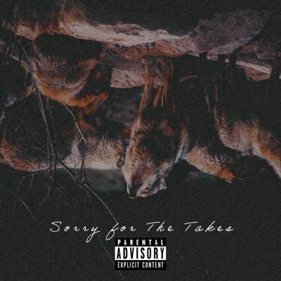 Sorry For the Takes - Single